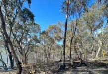 An all-night fire fight