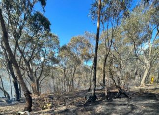 An all-night fire fight