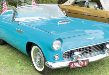 Classic cars converge on Trentham