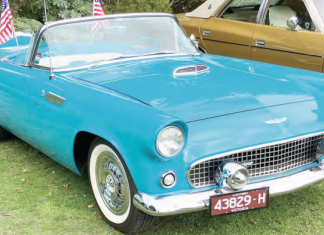 Classic cars converge on Trentham