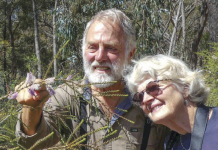 Become a citizen scientist