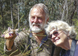 Become a citizen scientist