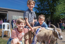 Sun shines on Kyneton show