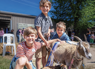 Sun shines on Kyneton show