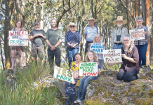 ‘Legislate the parks’: Enviro groups call for end to logging