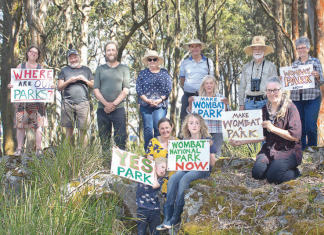 ‘Legislate the parks’: Enviro groups call for end to logging