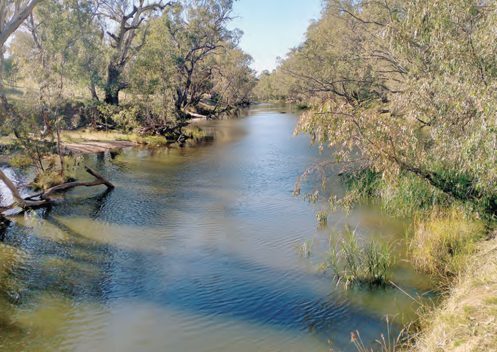 Coliban to appeal licence