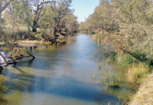 Coliban to appeal licence