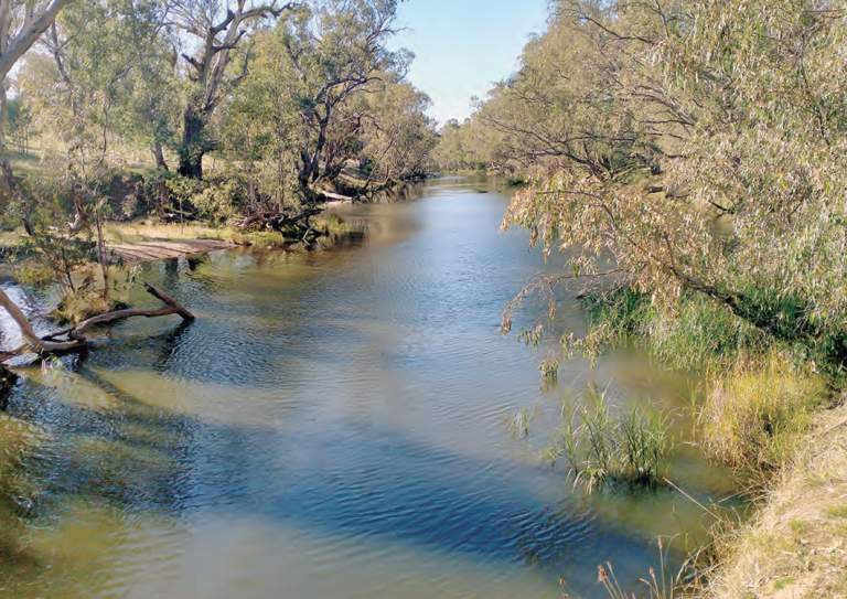 Coliban to appeal licence