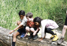 Tales of the creek kids