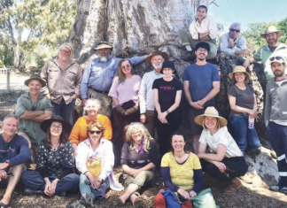 Permaculture experts teaching sustainable design