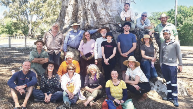 Permaculture experts teaching sustainable design