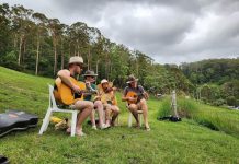 Exciting lineup for Newstead Live