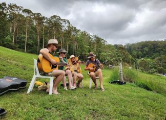 Exciting lineup for Newstead Live