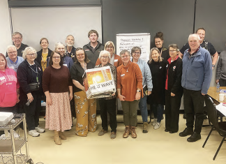 Making Riddell resilient