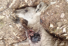 Advocates renew calls for exclusion