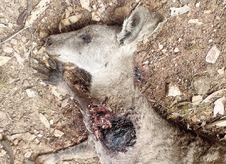 Advocates renew calls for exclusion