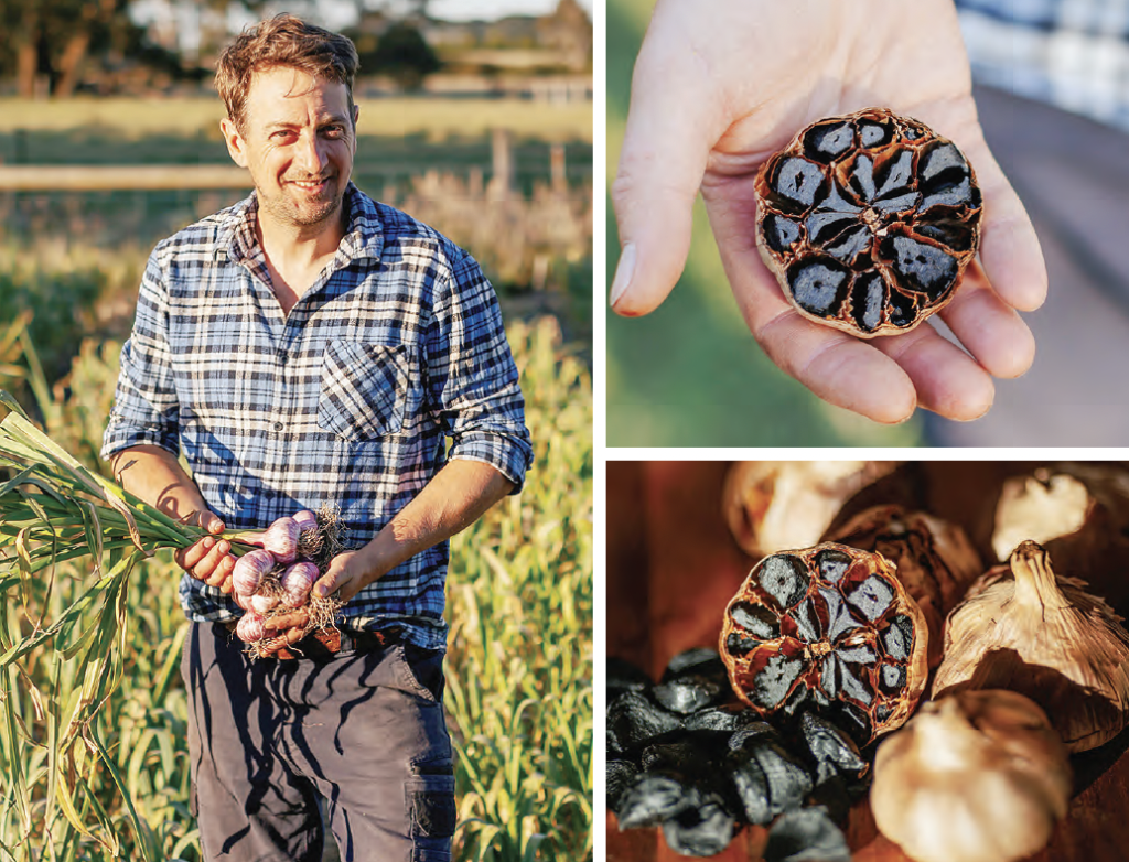 Black garlic captivates tastebuds