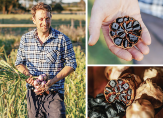Black garlic captivates tastebuds