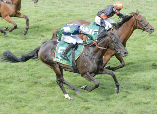 Hectic finish to Cup