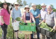 Sowing seeds of kindness