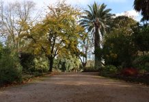 Gardens identity crisis