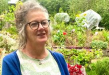 Reflections of a composter