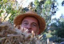 The Compost Conversation – Straightening the hay from the straw