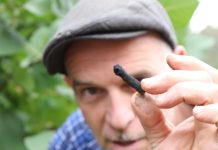 The Compost Conversation – Biocharging your compost