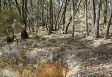 Respected photographer to feature