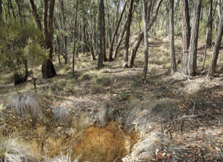 Respected photographer to feature