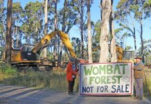Wombat Forest habitat at risk