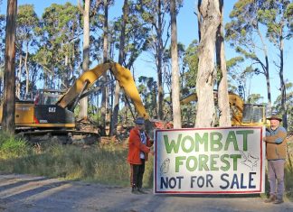 Wombat Forest habitat at risk