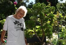 A living wake for Barry