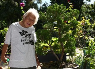 A living wake for Barry