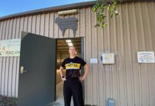 Rats, mould and mice