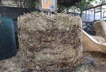 The Compost Conversation – Flat out for great compost