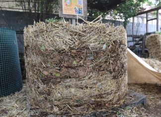 The Compost Conversation – Flat out for great compost