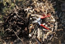 The Compost Conversation – Compost too dense?