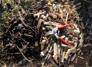 The Compost Conversation – Compost too dense?