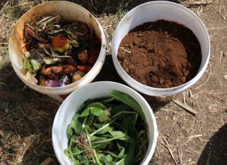 The Compost Conversation – Light, dry and unhappy