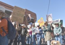 Kyneton rallies for the forest