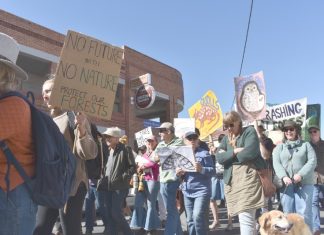 Kyneton rallies for the forest
