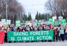 Locals urged to march for forests