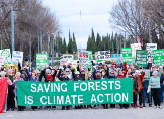 Locals urged to march for forests