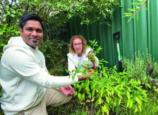 Housemates appear on SBS