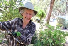 Profile of a composter