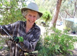 Profile of a composter