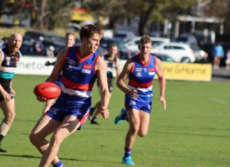 Gisborne by 258 points