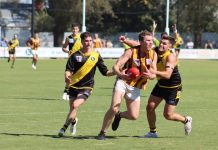 ‘Tigers can do a lot better’